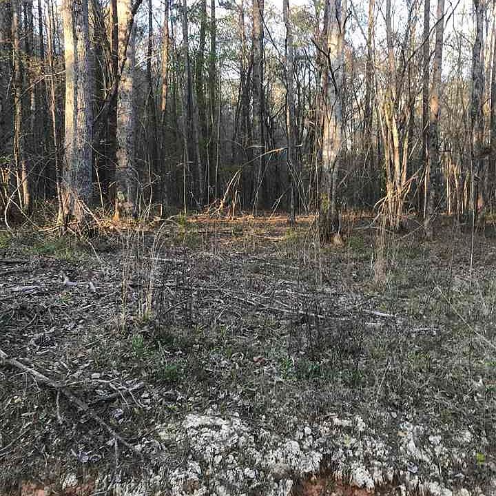 2nd image of 25 County Road 928 Lot 25