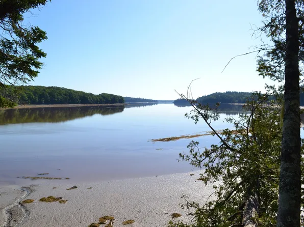 Lot 1 Foster Lane, Dennysville, ME 04628