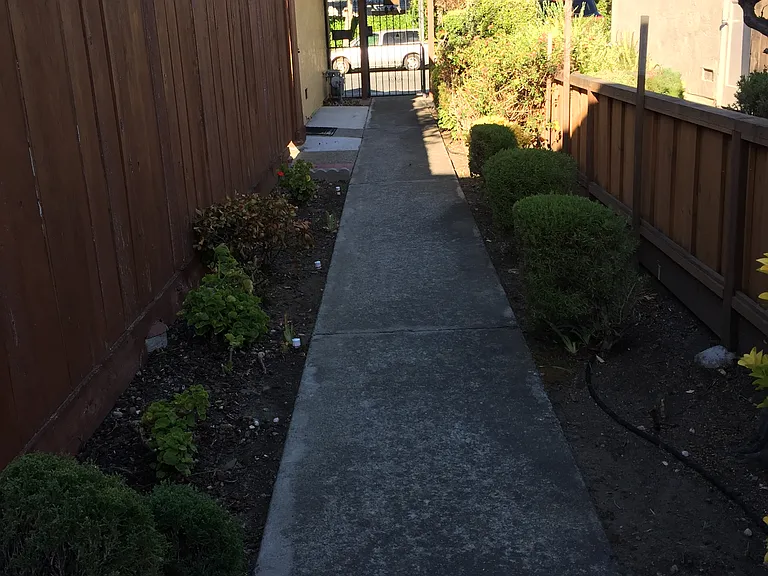 953 Henderson Ave — Photo 8