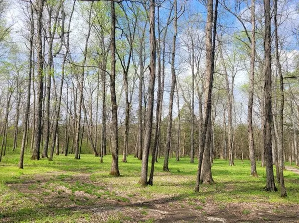 4 Pass Rd Lot 4, Shelbyville, TN 37160
