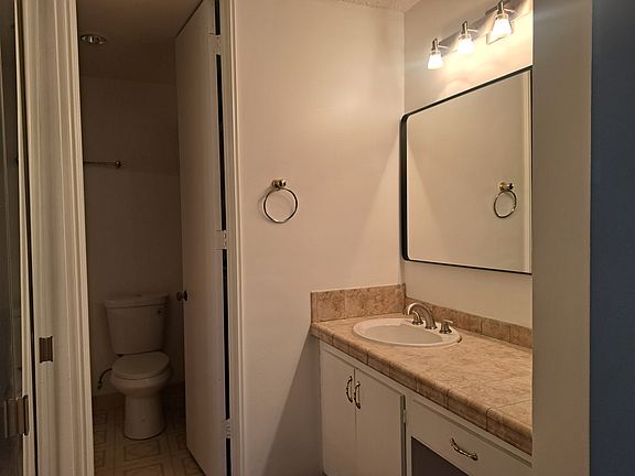 Master bathroom vanity area.