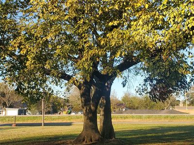 112 SE Front St, Leonard, TX, 75452