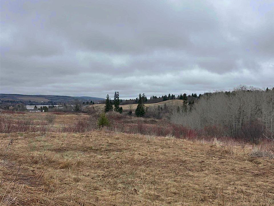 2nd image of River Rd
