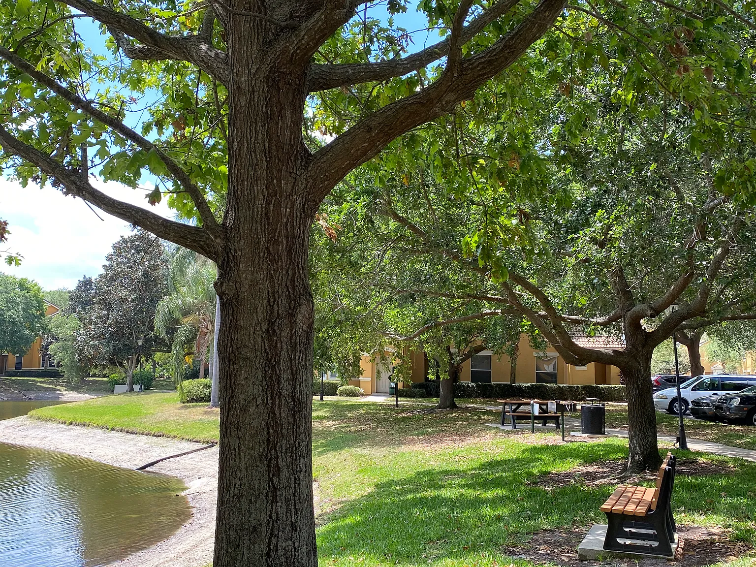 2 bed, 1076 sqft, $1,650 — Photo 2