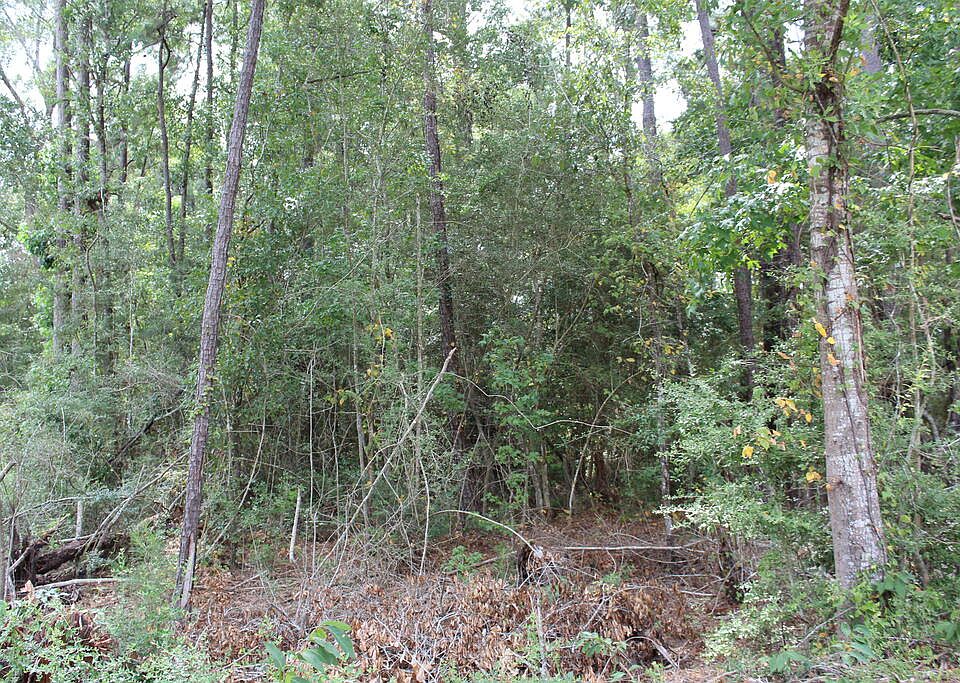 2nd image of Id 4939 County Rd #35