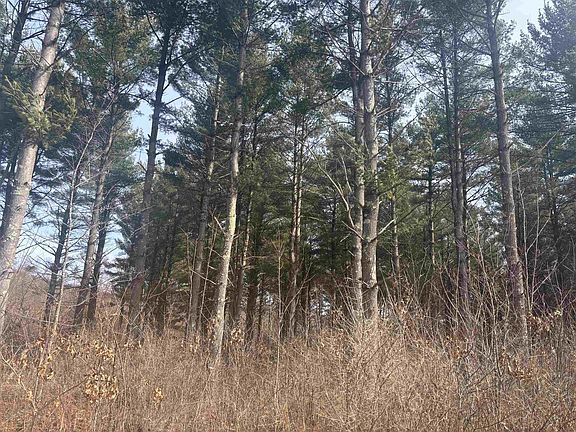 3rd image of 0 Town Hall Road