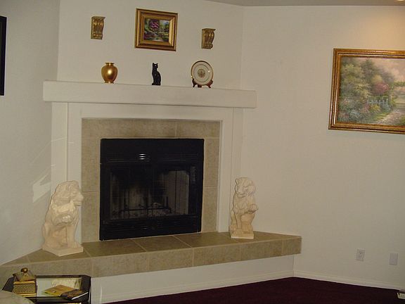 Wood burning fireplace w/raised hearth