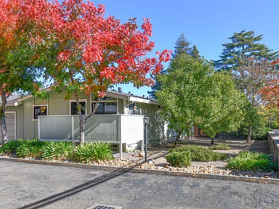 back yard with patio- private-