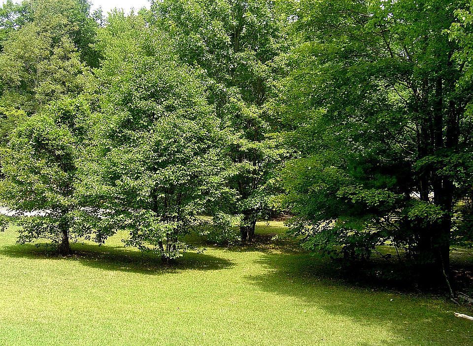 631 Ennis Rd, Waxhaw, NC 28173 Zillow