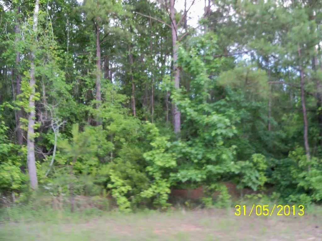 0 Old Louvale Rd photo 1
