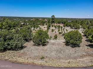2780 Constellation Ln, Overgaard, AZ 85933