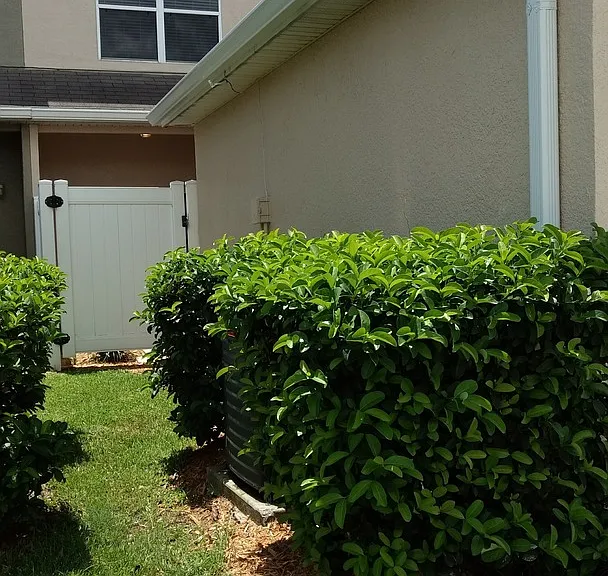 14651 Water Locust Dr — Photo 27