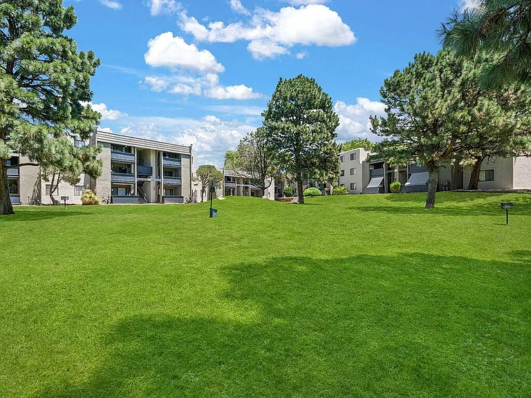 Beautiful Grassy Area
