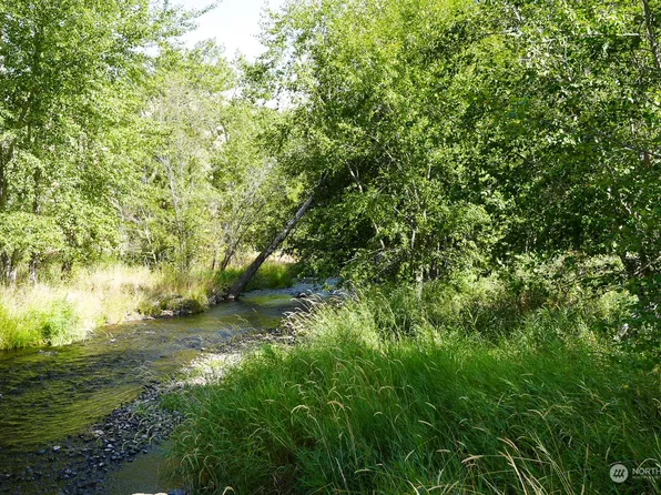 113 Wolf Fork Road, Dayton, WA 99328