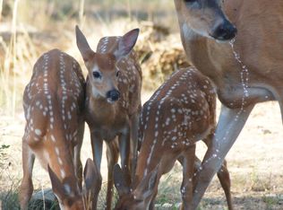 202 Glacier Rd, Bonners Ferry, ID 83805