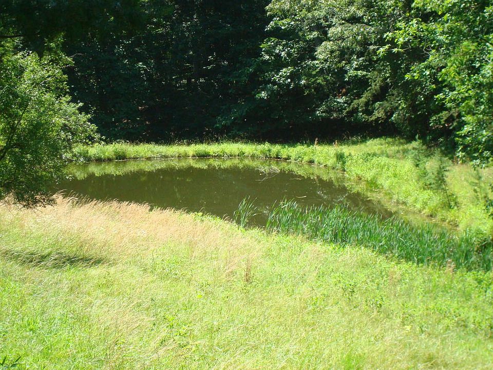 2nd image of 3906 Rutrough Rd