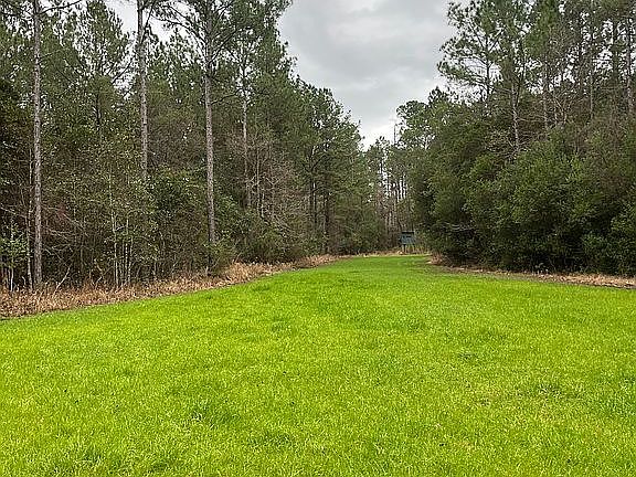 2nd image of 727 Milton Dumman Rd