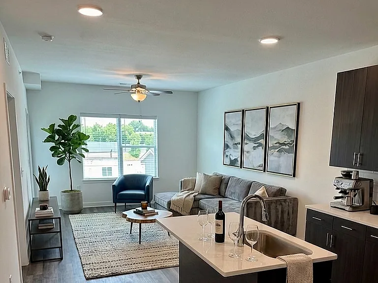 Kitchen & Living Room