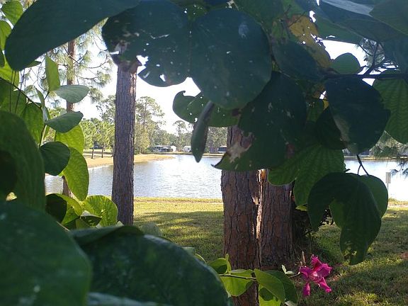 5th image of 19466 Saddlebrook Ct