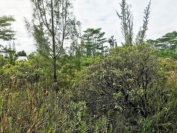 3rd image of Paradise Dr Lot 2431