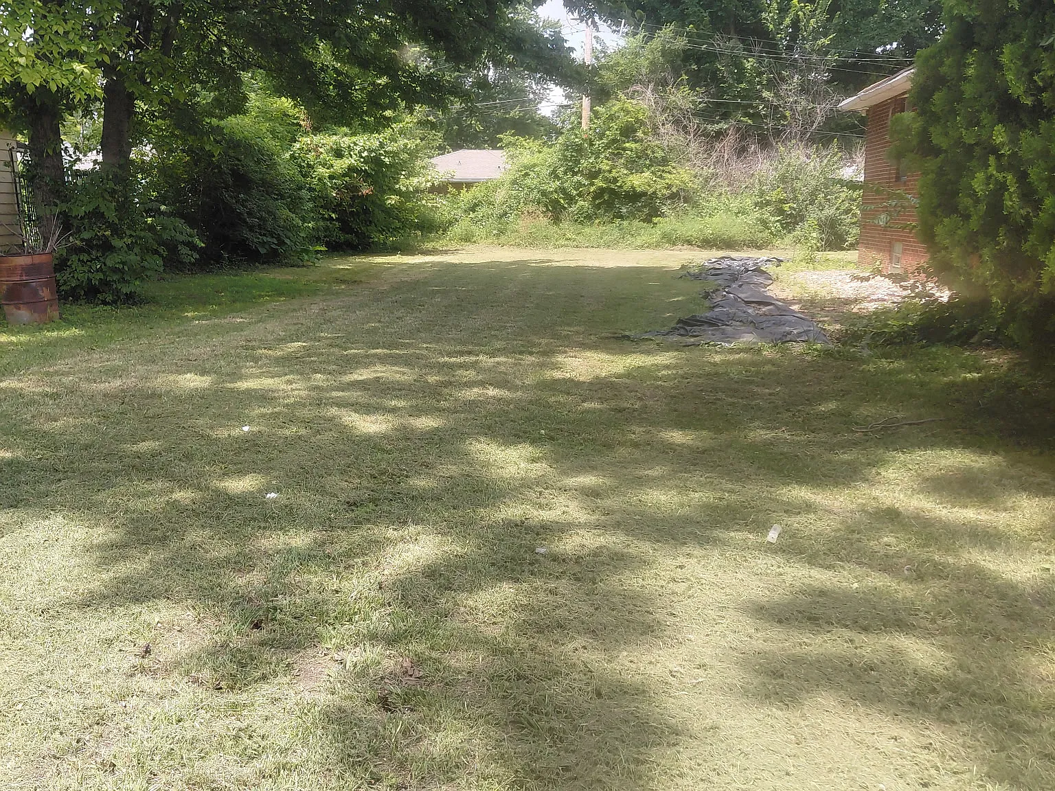 3 bed, 1338 sqft, $595 — Photo 2
