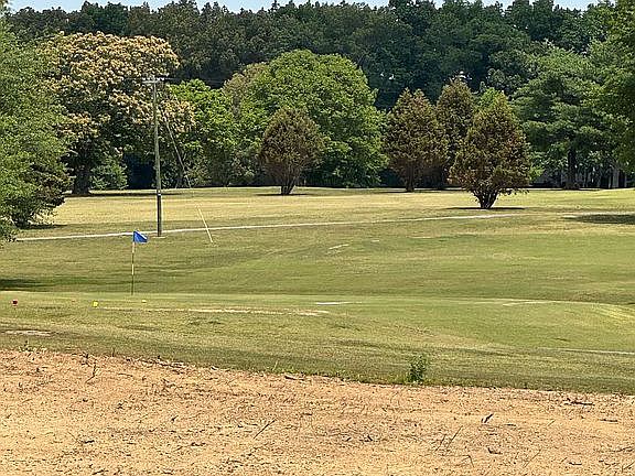 #1 green 