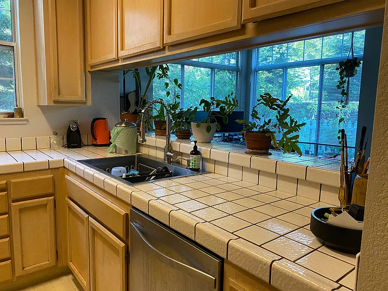 Kitchen - dish washer