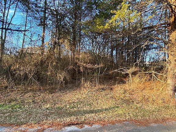 2nd image of 56 Kent St Lot 56