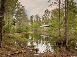 809 SW Van Buren Rd, Mayo, FL 32066