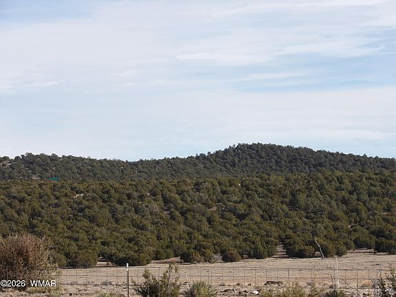 5th image of LOT-15A N 3411th