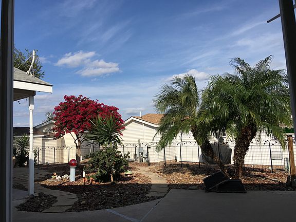 Extra Large Corner Back Yard