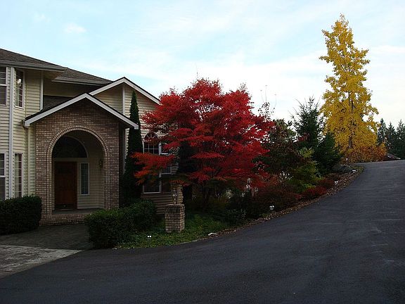 Front Door View