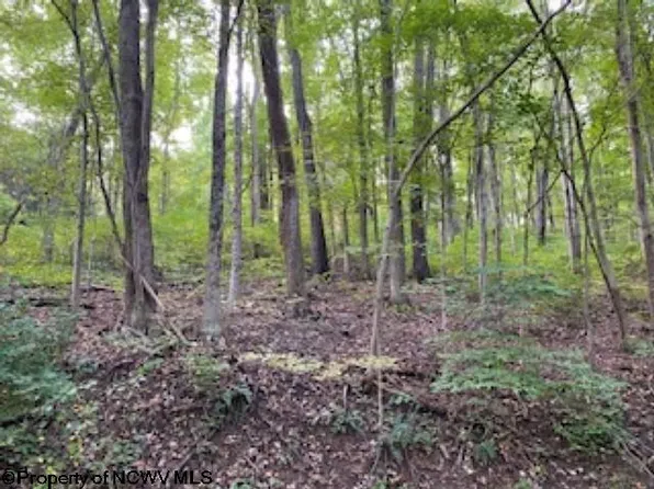 Cross St, Morgantown, WV 26505