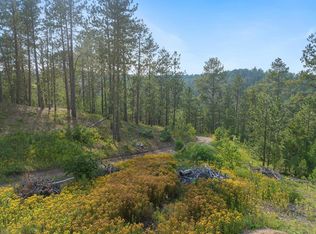 11152 Sylvanite Dr, Lead, SD 57754