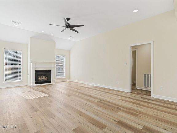 5th image of 925 Scotch Pine Cv