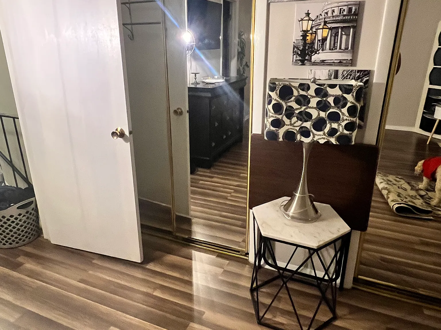 1212 Manassas Ct — Photo 4