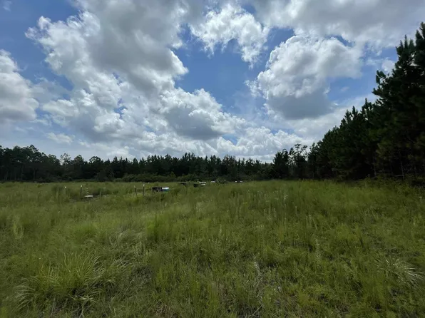Xx Otter Creek Rd, Sopchoppy, FL 32358