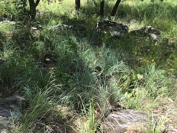 4th image of LOT 253 Cote D Azur