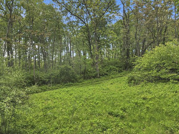 3rd image of 29500 Fairview Ridge Rd