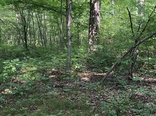 15740 Stone Rd, Hubbardston, MI 48845