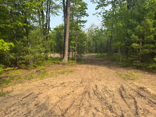 LOT 20 Indian Oaks Trl, Prudenville, MI 48651