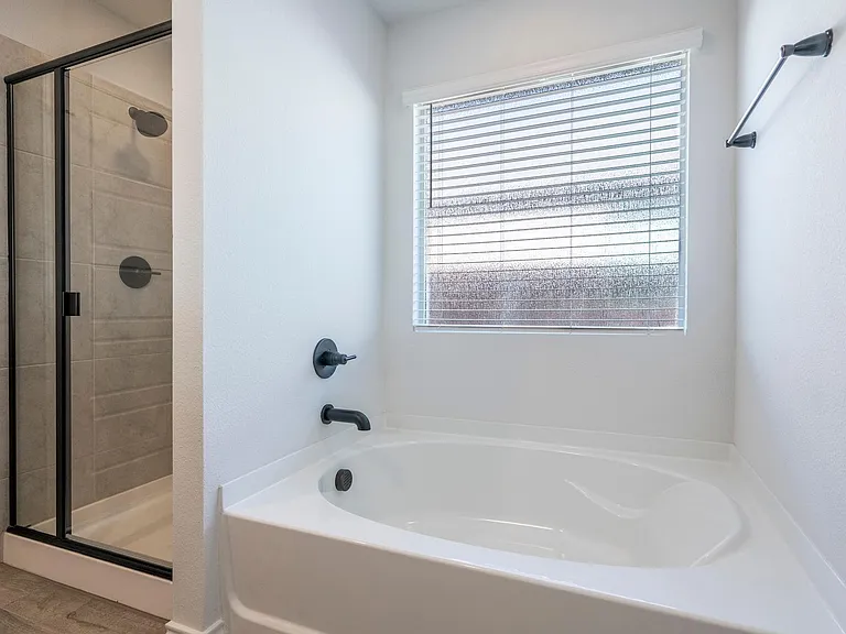 11436 Alpine Springs Dr — Photo 5