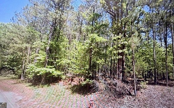 4th image of 0 Goshen Rd