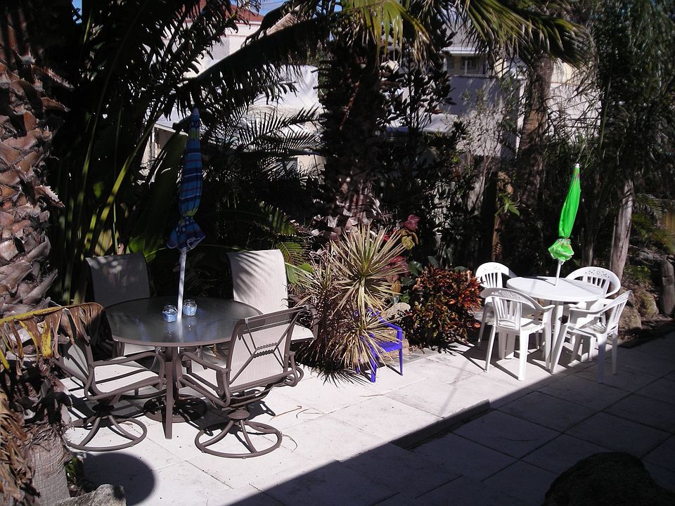 Rear Tropical Garden