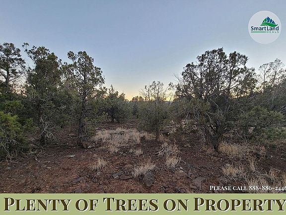 3rd image of 1609 N Eastview Blvd