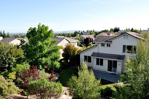 View from backyard