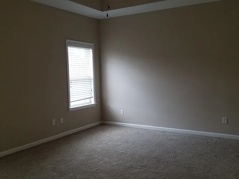 107 Hall Hill Ct — Photo 8