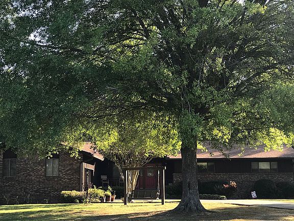  Front view with live oak