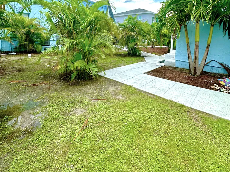 14125 Palm St #3 — Photo 19