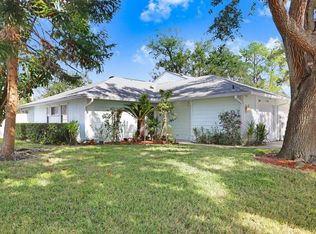 4411 Hollow Branch Ct, Tampa, FL 33624